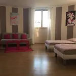 柏林伊拉公寓酒店 *